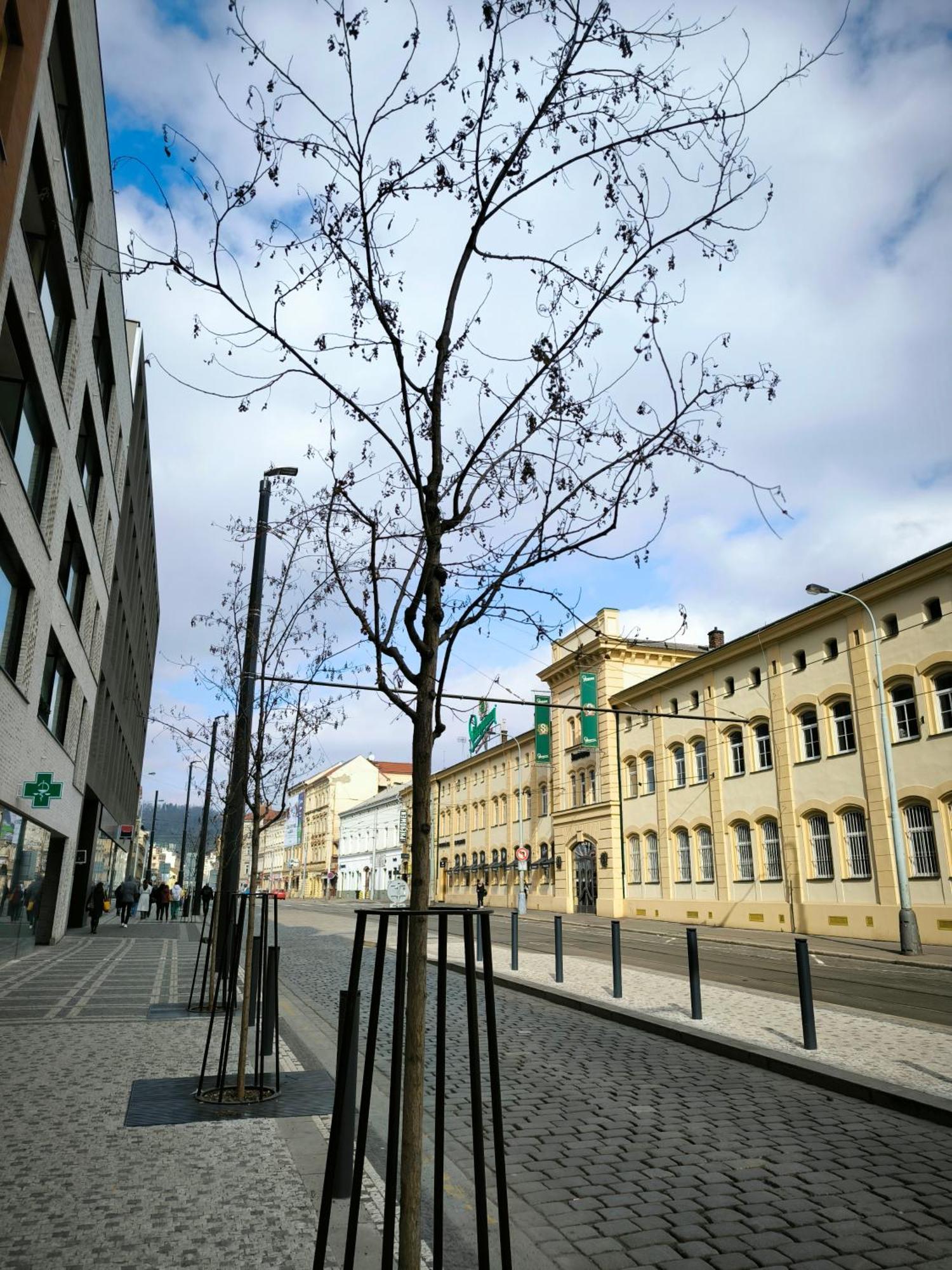Valentinka Minutes Away From Charles Bridge Apartamento Praga